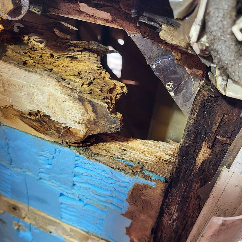Caravan Floor Repairs and Delamination Solutions picture showing Wood rot